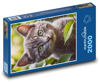 Produktbild von martinpuzzle - Puzzle 2000 Teile - Katze