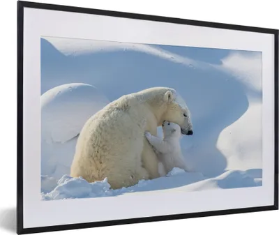 Produktbild von MuchoWow® MuchoWow® Gerahmtes Poster Eisbär - Tiere - Schnee 60x40 cm - Poster mit zchwarzem Bilderrahmen - Schlafzimmer - Plakat in Rahmen - Drucken
