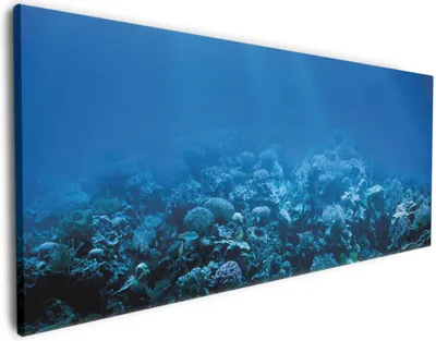 Produktbild von Wallario Premium Leinwandbild Unterwasserwelt Meer in Größe 60 x 150 cm