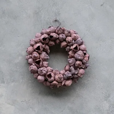 Produktbild von Kranz Coco fruit dünn - mauve: D 20cm