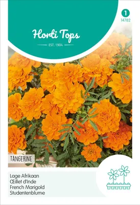 Artikelbild 2 von 'Studentenblume Tangerine' aus der Kategorie Studentenblumensamen