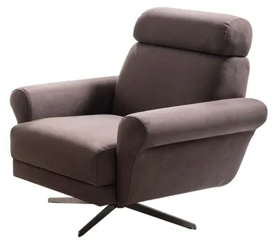 Immagine prodotto di Comoda poltrona con schienale regolabile dal design moderno