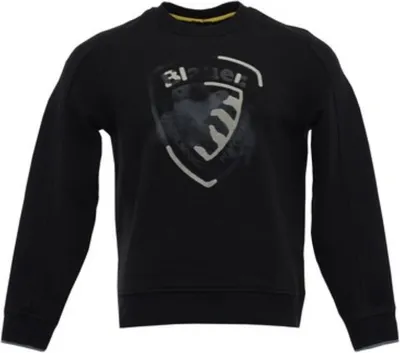 Produktbild von Sweatshirts Blauer BLUF03293999