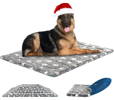 Immagine prodotto di Cuccia per cani, impermeabile, reversibile, grigia, 122x76 cm