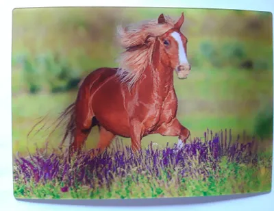 Produktbild von 3 D Ansichtskarte braunes Pferd, Postkarte Wackelkarte Hologrammkarte, Tier Pferde