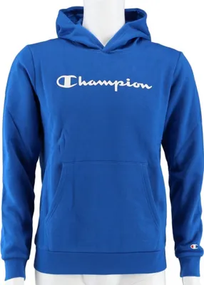Produktbild von Sweatshirts Champion Big Logo Print 305358BS116F20