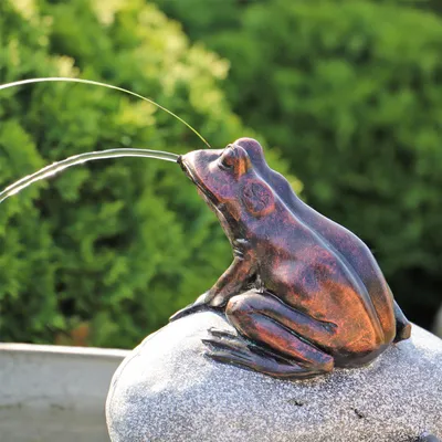 Produktbild von CLGarden Set Frosch Wasserspeier NSP10 Teichfigur Solarbrunnen mit Solar Pumpe für Teich Gartenteich