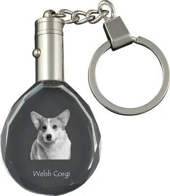 Produktbild von Pembroke Welsh Corgi - Anhänger mit einem Foto eines Hundes, Schlüsselanhänger aus Kristall in einer Geschenkbox, ein einzigartiges Geschenk von Art-Dog