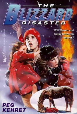 Produktbild von The Blizzard Disaster (Frightmares (Paperback))