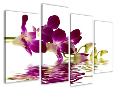 Produktbild von Visario Leinwandbild Orchidee 130x80 cm – 4-teilig, Bild Wandbild Kunstdruck, aufhängfertig, Echtholzrahmen, Zackenaufhänger, Art. 6132