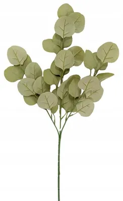 Obrázek produktu pro Eukalyptus umělá větvička listy dekorace 68 cm