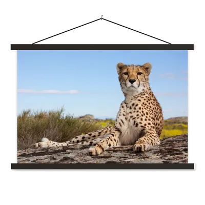 Produktbild von MuchoWow® Textilposter Leopard - Tiere - Natur 120x80 cm mit schwarzem Rahmen - Wanddeko