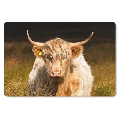 Produktbild von MuchoWow® Mauspad Mousepad Schottische Highlander - Licht - Gras - Tiere 27x18 cm - Mousepads - Maus Mat - Pad - Mausunterlage - Büroartikel - Desk Matten