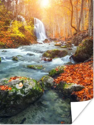 Produktbild von MuchoWow® Poster Natur - Sonne - Herbst 120x160 cm - Wandbilder