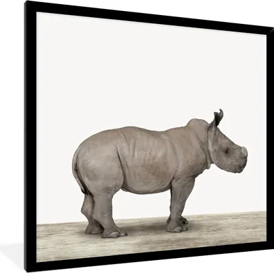 Produktbild von MuchoWow® Gerahmtes Poster Rhinozeros - Tiere - Jungen - Mädchen 40x40 cm - Poster mit Schwarzem Bilderrahmen Wandposter Rahmen Foto Bilder - Mit Rahmen - Wanddekoration Schlafzimmer