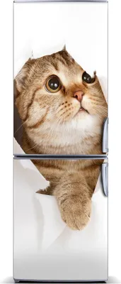 Produktbild von Tulup Kühlschrankdekoration - Magnetmatte - 70 cm x 190 cm - Magnet auf dem Kühlschrank - Katze
