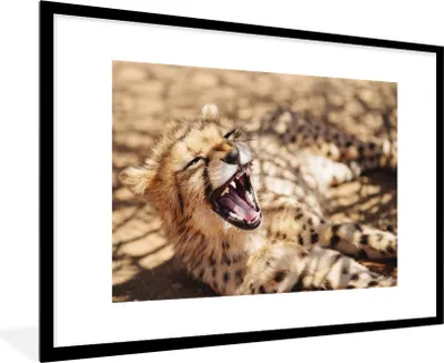 Produktbild von MuchoWow® MuchoWow® Gerahmtes Poster Gepard - Tier - Nahaufnahme 90x60 cm - Poster mit zchwarzem Bilderrahmen - Wanddekoration - Fotos