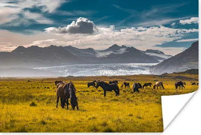 Produktbild von MuchoWow® Poster Island - Berge - Pferde 90x60 cm - Schlafzimmer