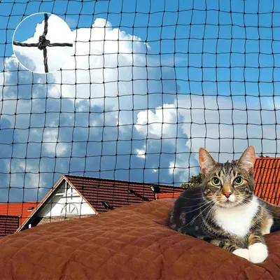 Productafbeelding van Kattennet 6 x 3 m, polyethyleen, voor balkon, UV-bestendig, met bevestigingskoord en spijkers