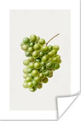 Produktbild von MuchoWow® Poster Lebensmittel - Weintrauben - Traube 80x120 cm - Papierdruck