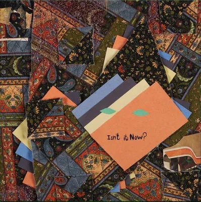 Productafbeelding van Animal Collective: Isnt It Now? - (LP / Import)