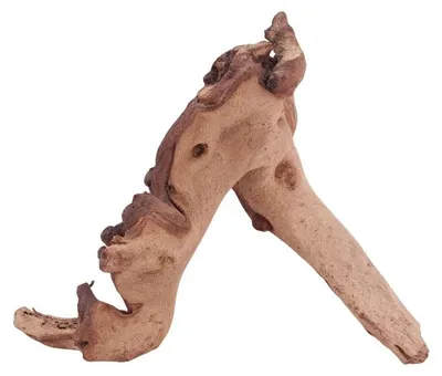 Produktbild von XL Mopani Wurzel Nr.4671 Holz Deko Aquascaping
