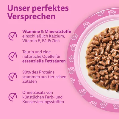 Produktbild von WHISKAS Junior Nassfutter in Sauce 84 x 85g Klassische Auswahl