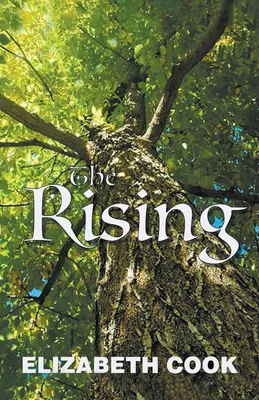 Produktbild von The Rising