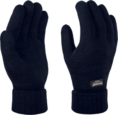 Produktbild von Termo rukavice Regatta Uni Thinsulate RG1489 (jedna veľkosť) (námornícka modrá)