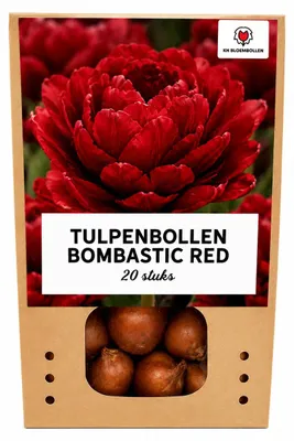 Productafbeelding van Tulpenbollen 'Bombastic Red' | 20 Stuks | Rode Pioentulp - 30-50cm - Ø5cm - Bloembol - Tuinplant