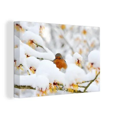 Obrázok produktu pre OneMillionCanvasses® - Maľba na plátne - Obraz na plátne Nástenná maľba na plátne - Sneh - Robin - vetva - 150x100cm - Fotografia na plátne - maľba na