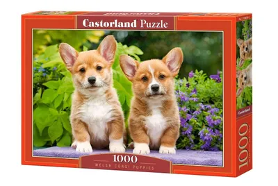 Produktbild von CASTORLAND Puzzle Welpen Welsh Corgi 1000 Teile