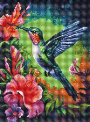 Image de Mosaïque de diamants - Colibri reconnaissant 30x40cm