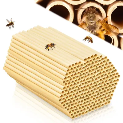 Produktbild von Nistkästen für Insektenhotel, 300 Stück mit einer Länge von 15 cm, für Wildbienen