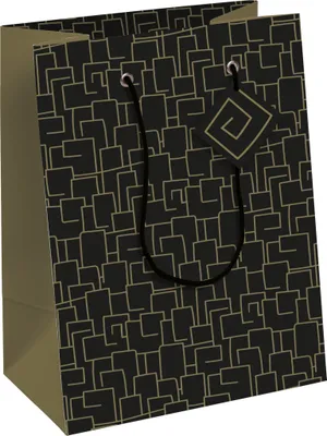 Produktbild von Clairefontaine 6x Archi, Geschenktasche M 21,5x10,2x25,3cm Schwarz 32478-3C