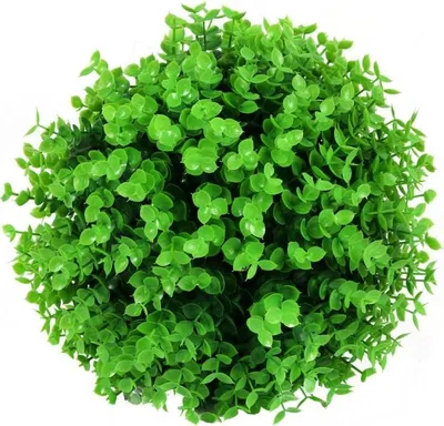 Zdjęcie produktu dla Sztuczna Kula z Bukszpanu 25 cm - Dekoracja Wnętrz