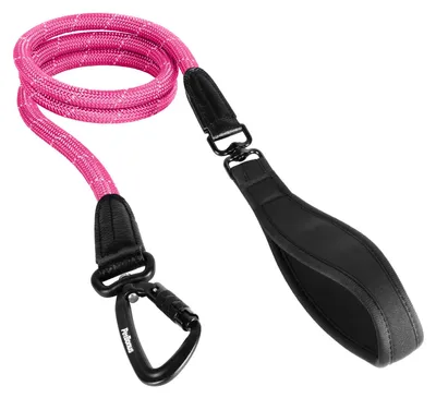 Hunderiemen Nylon, verstellbar, mit Karabinerhaken, gepolstert, für große Hunde