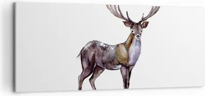 Produktbild von Bild auf Leinwand - Leinwandbild - Liebes Tier Wild Wald - 120x50cm - Wand Bild - Wanddeko - Leinwanddruck - Bilder - Kunstdruck - Wanddekoration - Leinwand bilder - Wandkunst - AB120x50-2938