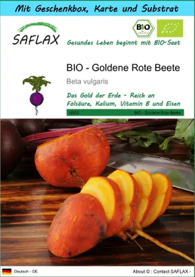 Produktbild von SAFLAX Geschenk Set - BIO - Goldene Rote Beete - Beta vulgaris - 50 Samen - Mit Geschenkbox, Versandaufkleber, Geschenkkarte und Anzuchtsubstrat