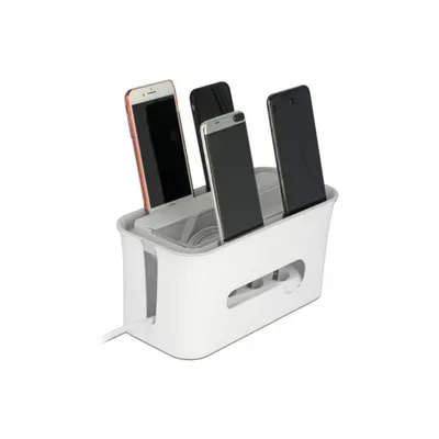 Image de DELOCK Kabelmanagement Box mit Aufbewahrungsfach weiß / grau