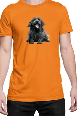Zdjęcie produktu dla Męska Koszulka Funny Dogs Breeds Newfoundland Dog Breed, Man 2XL / Pomarańczowy