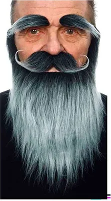 Obrázek produktu pro Mom Bigote And Eyebrow Beard Grey Grey One Size