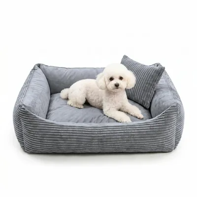 Produktbild von 4L Textil MOLLY Hundebett aus Cord mit Rand, komplett waschbar, für kleine Hunde und Katzen, 60x40 cm, Grau