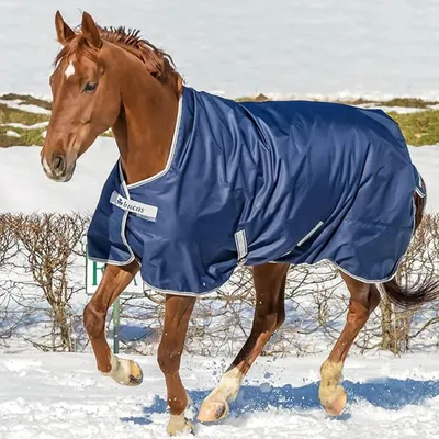 Immagine prodotto di Tappeto da esterno Bucas 150g Freedom Turnout a collo alto Navy/Argento 125