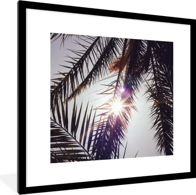 Produktbild von MuchoWow® Gerahmtes Poster Palmwedel - Sonne - Sommer 40x40 cm - Poster mit Schwarzem Bilderrahmen Wandposter Rahmen Foto Bilder - Poster - Plakat im Rahmen