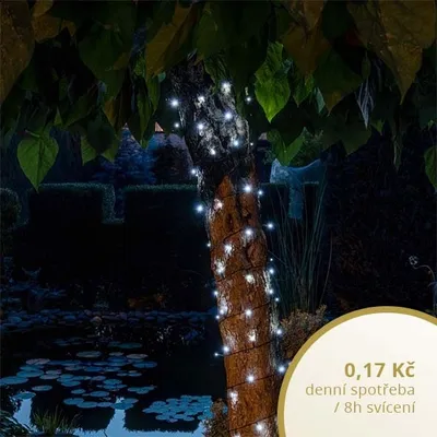 Obrázok produktu pre DECOLED LED svetelná reťaz 32 studená biela, vysoká kvalita