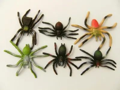 Produktbild von Spinnen Stretch, 6erSet, 9 cm, Spinne Stretchspinne Stretchspinnen Vogelspinnen Tiere