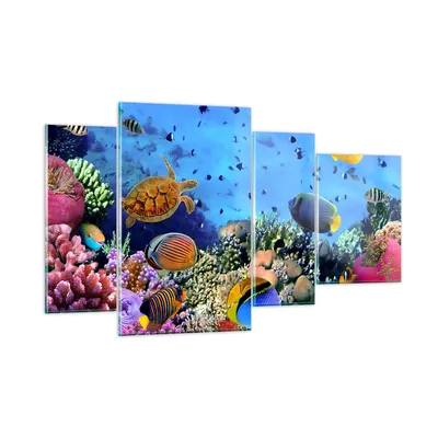 Produktbild von Bilder auf glas - Korallenriff - 120x70cm - Glasbilder - Wandbilder - Bilder - Kunstdruck - zum Aufhängen bereit - Wanddekoration aus Glas - Glas Bilder - Wandbild auf Glas - 4 Teile - GDL120x70-3569