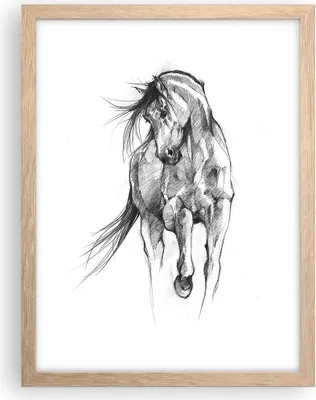 Produktbild von Gerahmtes Poster - Rahmen in heller Eiche - Pferd Galopp Tier - 30x40 cm - Wand Bild - Wanddeko - Wandbilder - Kunstposter - Wandposter - Bilderrahmen - Bilder - Kunstdruck - P2NPA30x40-5080