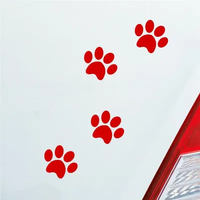 Produktbild von Auto Aufkleber Pfoten Paws Dog Hund Haustier Tier Pfote Paw 8x10 cm Rot Sticker Heckscheibenaufkleber